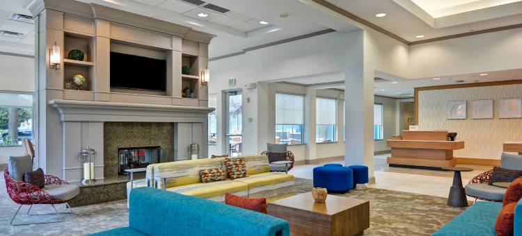 维斯塔湖希尔顿花园酒店(Hilton Garden Inn Lake Buena Vista/Orlando)图片