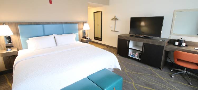 棕榈滩海岸欢朋套房酒店(Hampton Inn & Suites Palm Coast)图片