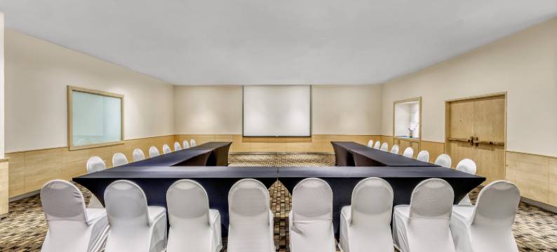 历史中心嘉年华旅馆(Fiesta Inn Centro Historico)图片