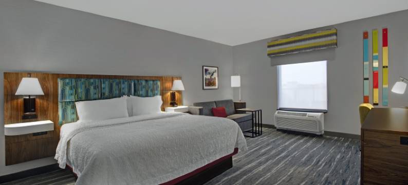 德威特锡拉丘兹希尔顿欢朋套房酒店(Hampton Inn & Suites Syracuse Dewitt)图片