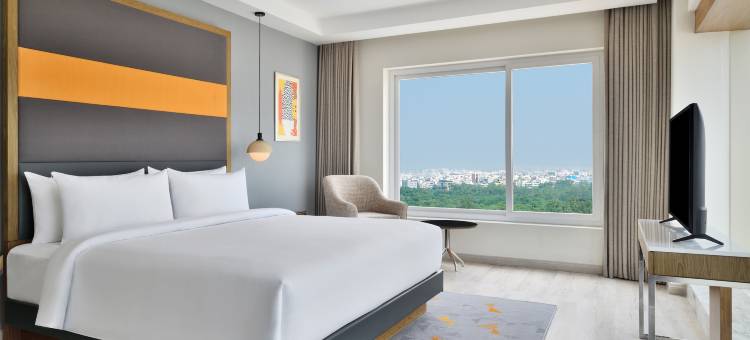 海得拉巴艾美酒店(Le Meridien Hyderabad)图片
