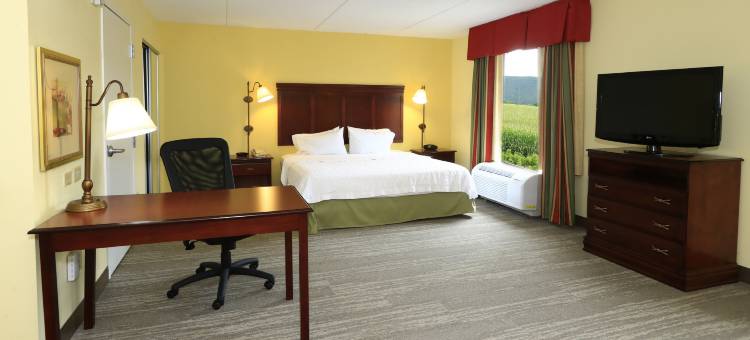 希尔顿欢朋酒店-拉马尔(Hampton Inn & Suites Lamar)图片