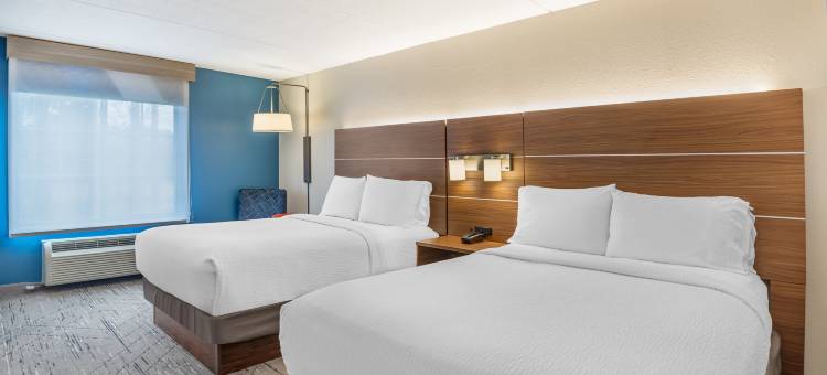 智选假日套房酒店圣彼得堡李堡(Holiday Inn Express & Suites Petersburg - Fort Gregg Adams)图片