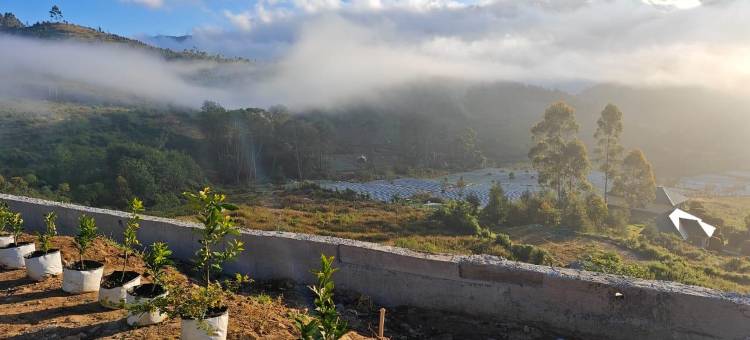 Orange Valley Farm Resort图片