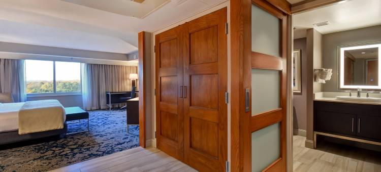 罗利达勒姆三角研究园希尔顿安泊酒店(Embassy Suites by Hilton Raleigh Durham Research Triangle)图片