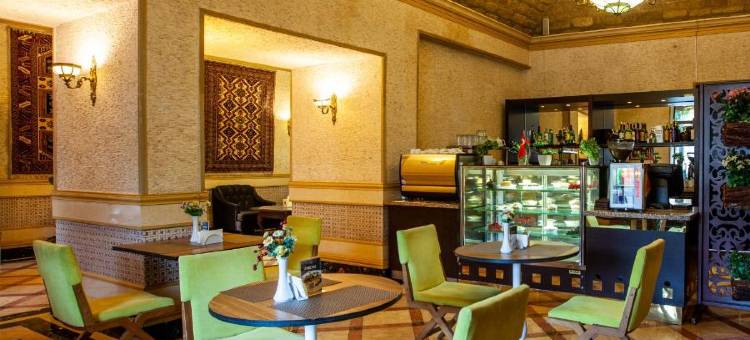 沙阿宫酒店(Shah Palace Luxury Museum Hotel)图片