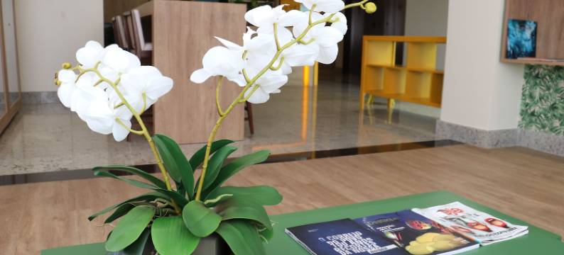 凯罗斯商务酒店(Kayrós Business Hotel)图片