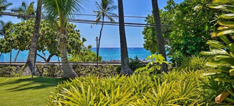 出色的海洋前开间 - Kona Islander Inn 公寓由RedAwning(Outstanding Oceanfront Studio - Kona Islander Inn Condos Condo by RedAwning)图片