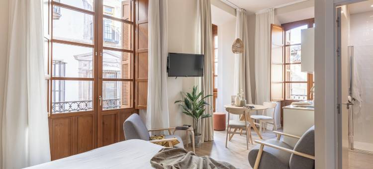 马拉加罗马剧院Líbere公寓(Apartamentos Líbere Málaga Teatro Romano)图片