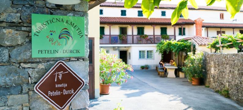 旅行农庄皮特林-杜尔契克(Tourist Farm Petelin-Durcik)图片
