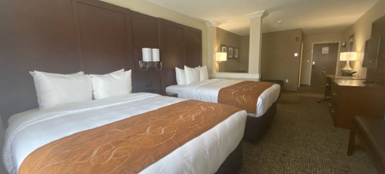 米德兰西舒适套房酒店(Comfort Suites Midland West)图片