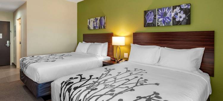 舒眠套房酒店(Sleep Inn & Suites)图片