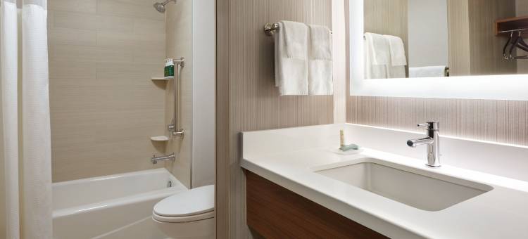 渥太华市中心万豪万怡酒店(Courtyard Ottawa Downtown)图片