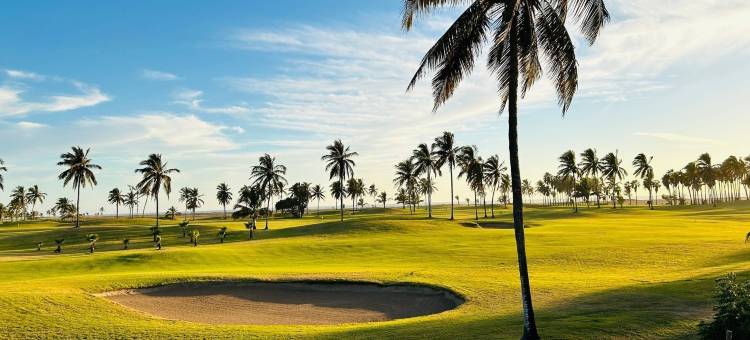 海星(Estrella de Mar)图片