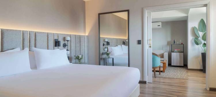 NH圣地亚哥-德尔埃斯特罗(NH Santiago del Estero)图片