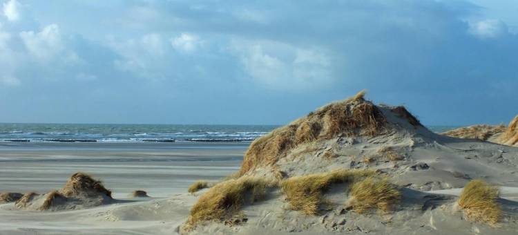 Beautiful nature gite, chalet atmosphere, with large garden, Arrest, Baie de Somme,图片