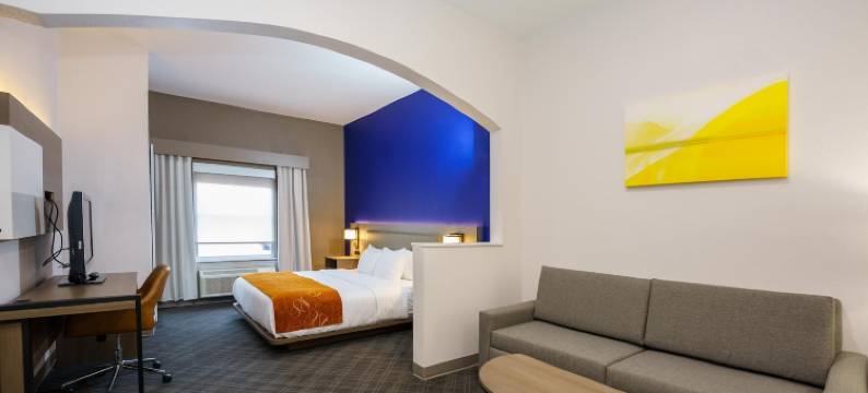 大学路舒适套房酒店(Comfort Suites University Drive)图片