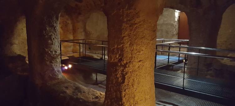 埃尔切AG塞尔科特尔快捷酒店(Hotel AG Express Elche)图片