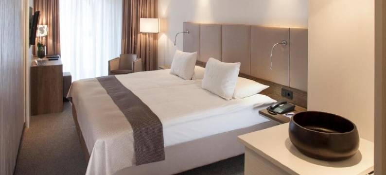 欧洲厄兹基瑟瑞酒店(Hotel Erzgiesserei Europe)图片