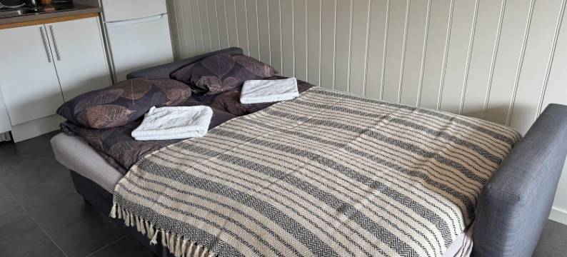 如家般的水疗与公寓，带私人泳池(Private Pool & Nordic Sauna Retreat - Porsgrunn)图片