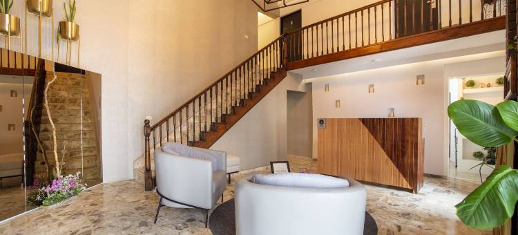 圣何塞套房精品酒店(San José Suites Boutique)图片