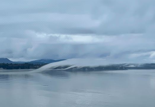 Cabin with ocean views, minutes from Acadia and Bar Harbor Hotel Overview