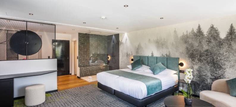 莱因格贝(Hotel Rheingerbe)图片