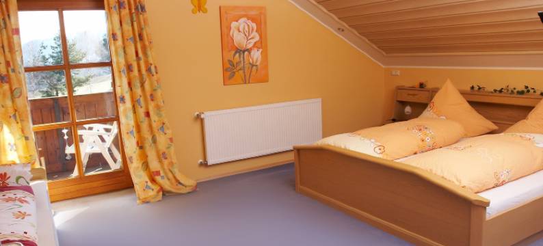 路德维希公寓旅馆(Pension / Ferienwohnungen Ludwig)图片