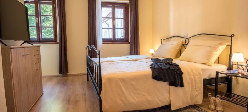 Vila Radolca公寓和房间(Vila Radolca Apartments & Rooms)图片