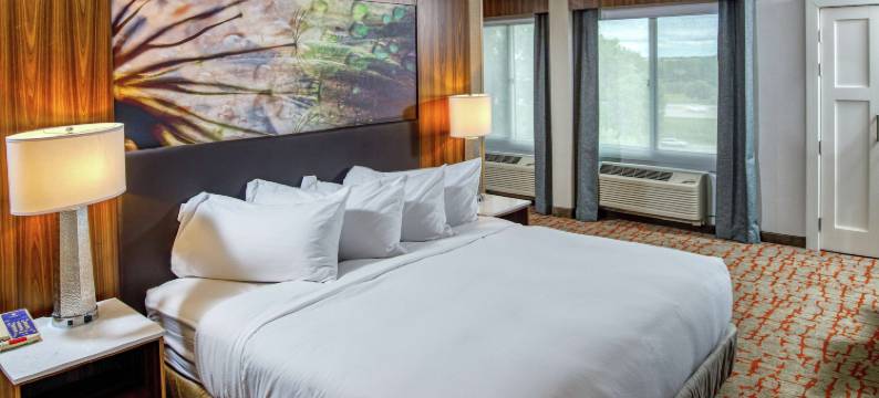 阿普尔顿希尔顿逸林酒店(DoubleTree by Hilton Appleton)图片