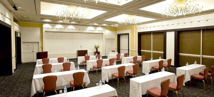 仓敷Kariyushi皇家艺术酒店(Kurashiki Royal Art Hotel)图片