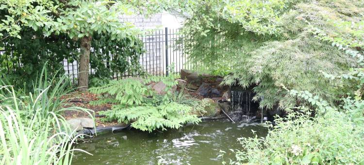 VAAST床和早餐旅馆(Vaast Bed & Breakfast)图片