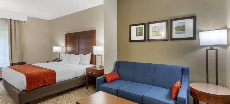 舒适套房酒店(Comfort Inn & Suites Canton Riverstone Area)图片