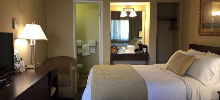 普雷西迪奥旧金山(Travelodge by Wyndham Presidio San Francisco)图片