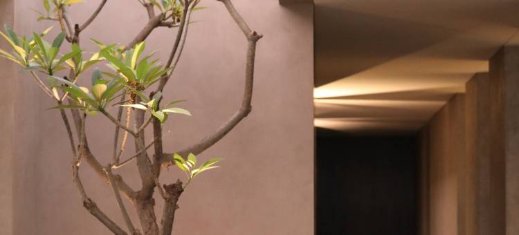 龙目岛小屋套房酒店与私人别墅(The Lombok Lodge Suites & Private Villas)图片