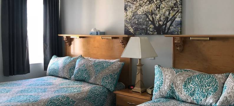 大西洋之家旅馆(The Atlantic House)图片