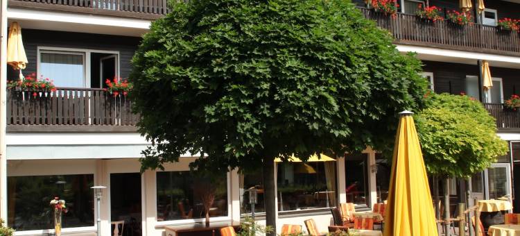 金钮环形酒店(Hotel Goldener Knopf)图片