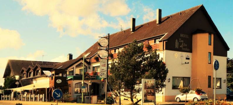 阿尔滕福斯豪斯乡村酒店(Land-Gut-Hotel Zum Alten Forsthaus - Aufladestation für Elektroautos)图片