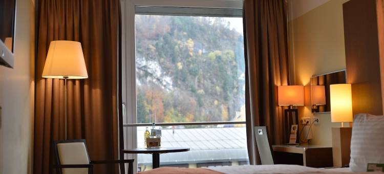 萨尔茨堡市假日酒店(Holiday Inn Salzburg City)图片