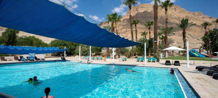 死海雷昂那多酒店(Leonardo Inn Hotel Dead Sea)图片