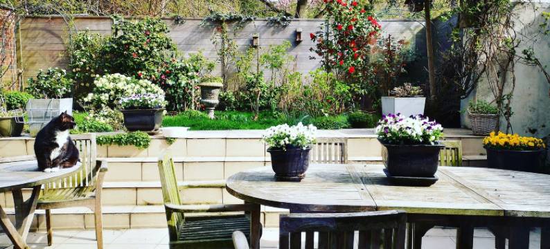 鲁汶庭院民宿(B&B Het Leuvens Hof)图片