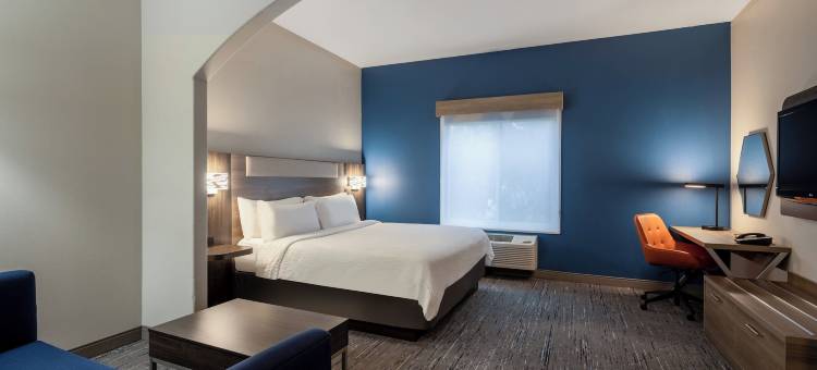 北温哥华智选假日酒店(Holiday Inn Express Vancouver North - Salmon Creek)图片