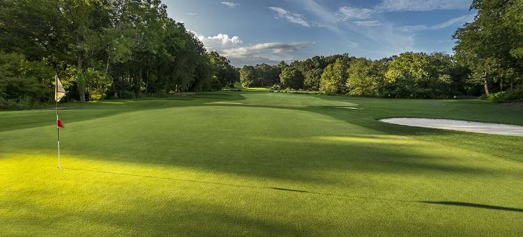 布拉塞尔顿欢朋酒店(Hampton Inn & Suites Braselton)图片