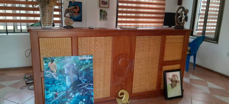 桑科法别墅(Villa Sankofa)图片