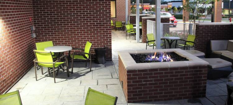 巴尔的摩白沼泽中河SpringHill Suites酒店(SpringHill Suites Baltimore White Marsh/Middle River)图片