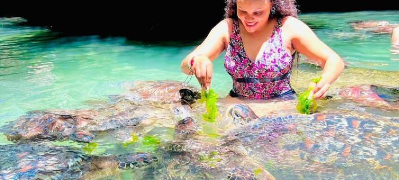 巴拉卡水上平房酒店(Baraka Aquarium Bungalows)图片