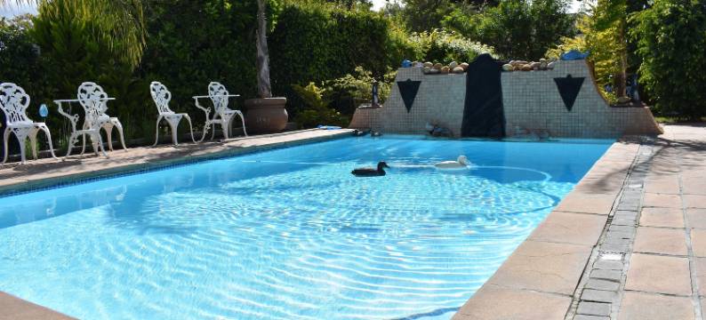 帕拉迪索旅馆&自助餐厅(Paradiso Guesthouse & Self-Catering Cottage)图片