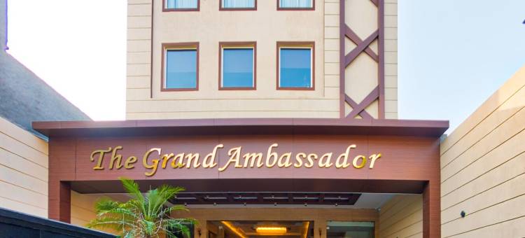 大使大酒店(The Grand Ambassador)图片