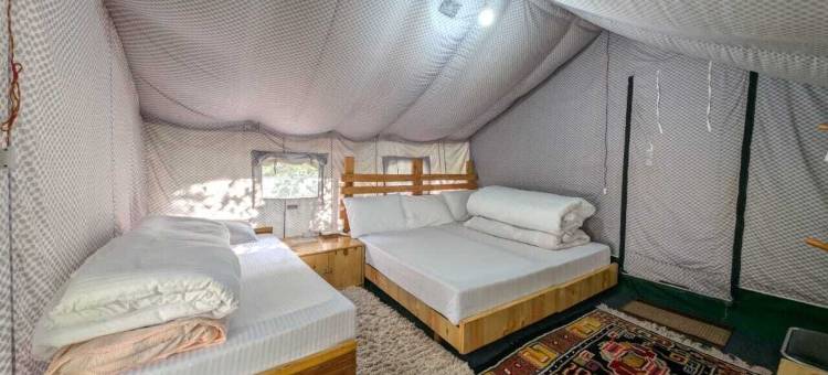 苹果果园农场和露营地(Apple Orchard Farm and Camping)图片