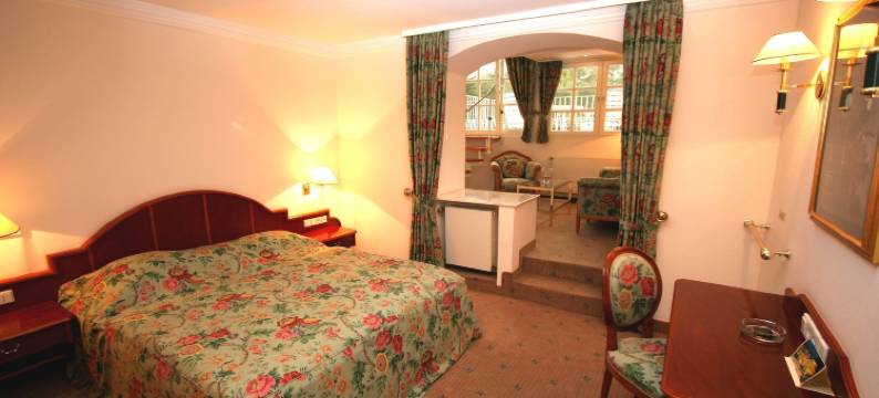 城堡公园酒店(Park Hotel am Schloss)图片